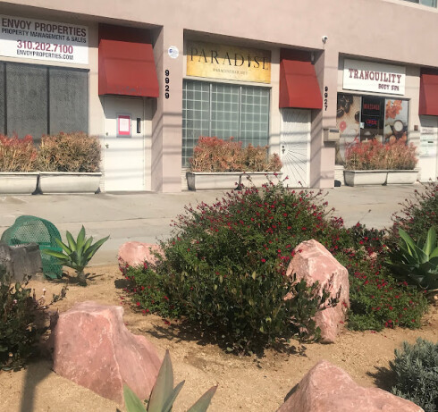 Store Image